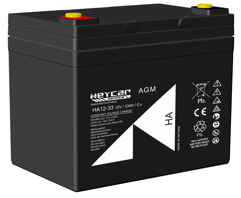 P595//HA12-33 STANDAR T11