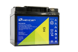 [HG12-50 HEY] P444//HEYCAR 12v. 50ah EV Cyclic F11