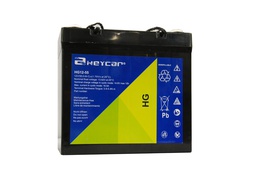 [HG12-55 HEY] P451//HEYCAR 12V. 55 Ah Cyclic. F11