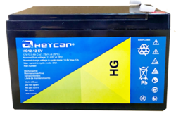 [HG12-12 EV HEY] P461//HEYCAR 12V. 12 Ah Terminal F2