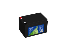 [HG12-14 EV HEY] P483//HEYCAR 12V. 14 Ah TERMINAL T15-1